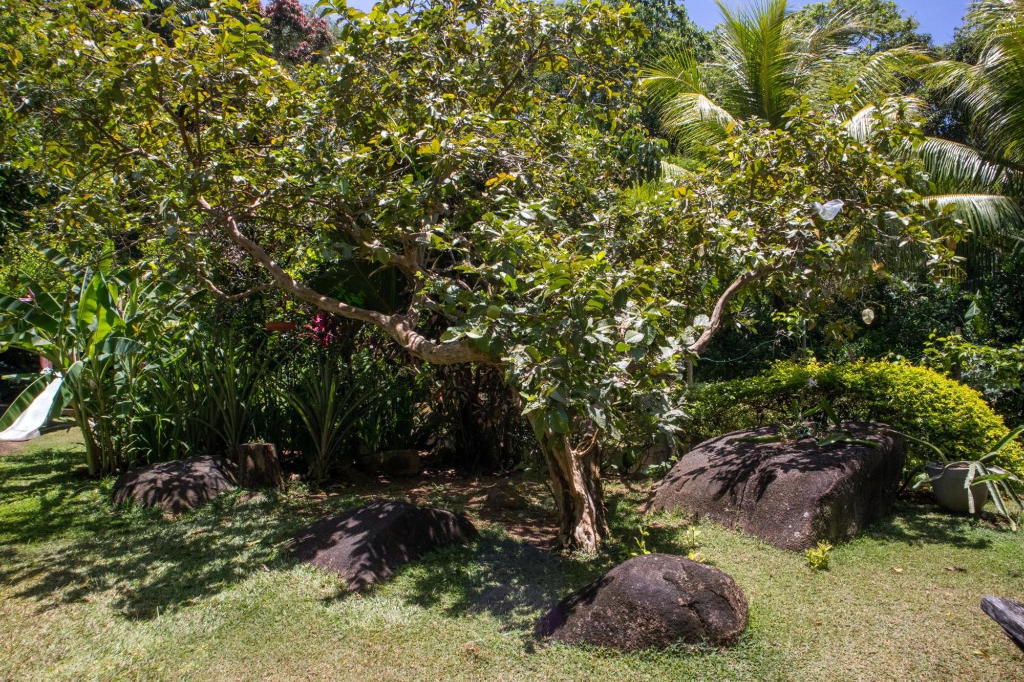 Domaine Desaubin Luxury Villas 塔卡马卡 外观 照片