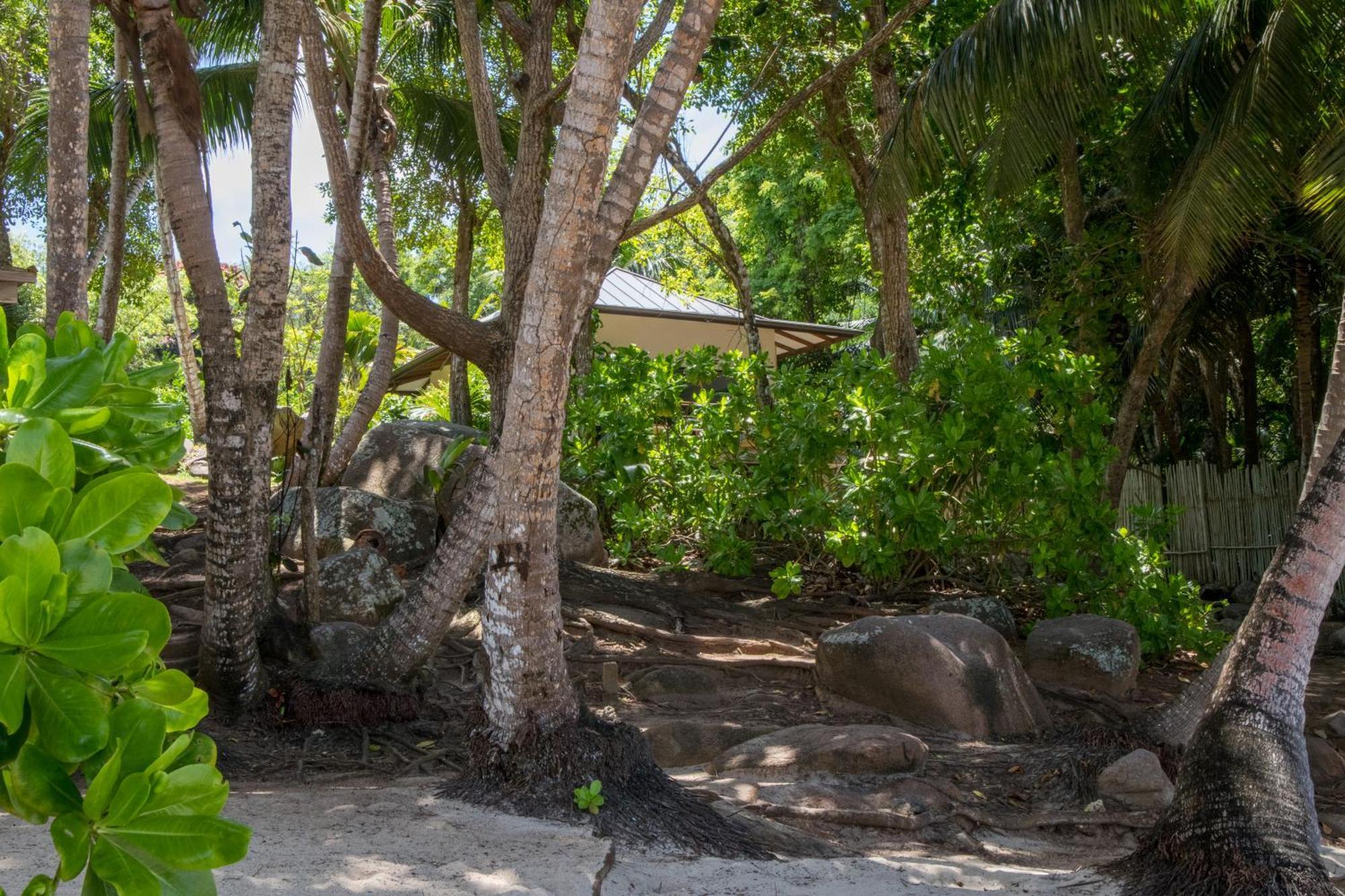Domaine Desaubin Luxury Villas 塔卡马卡 外观 照片